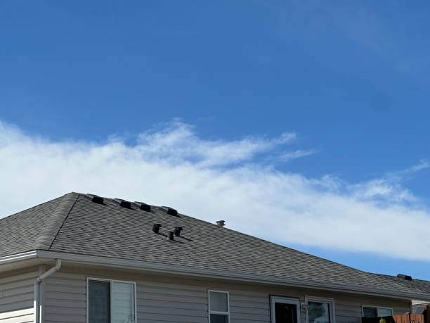 Best Sheet Metal Roofing  in Hamilton, OH